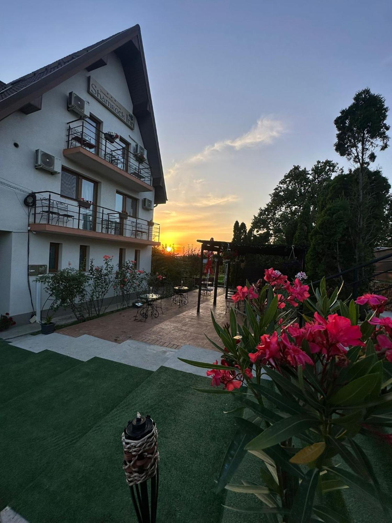 Shamrock Inn Iasi Esterno foto